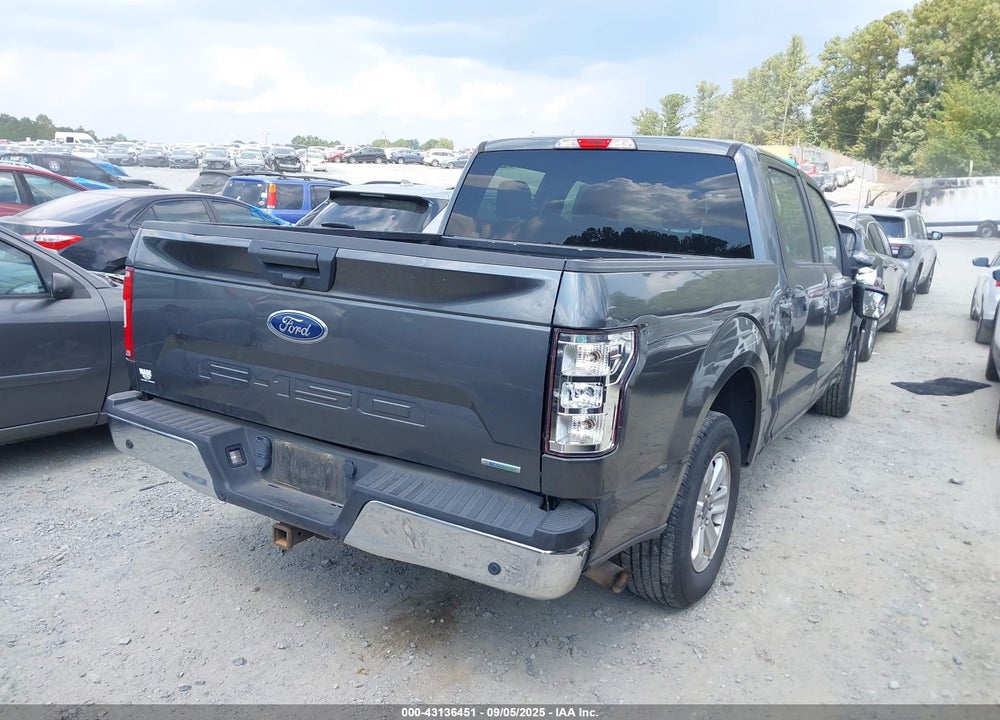 2019 FORD F-150 XL VIN: 1FTEW1CP2KFC01045