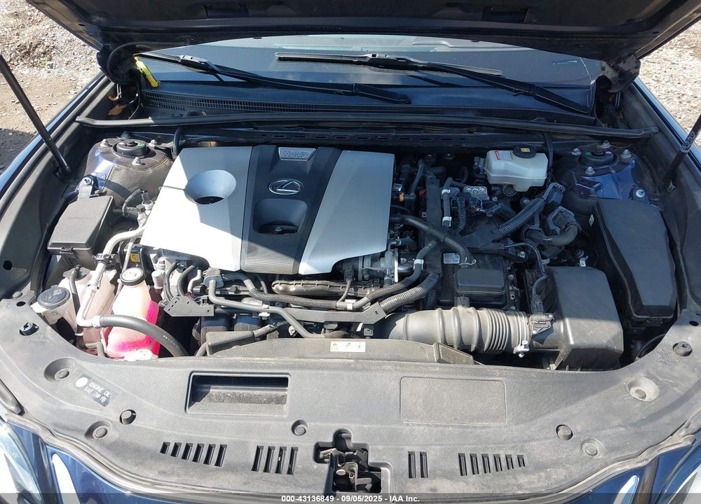 2019 LEXUS ES 300H VIN: JTHB21B16K2041947