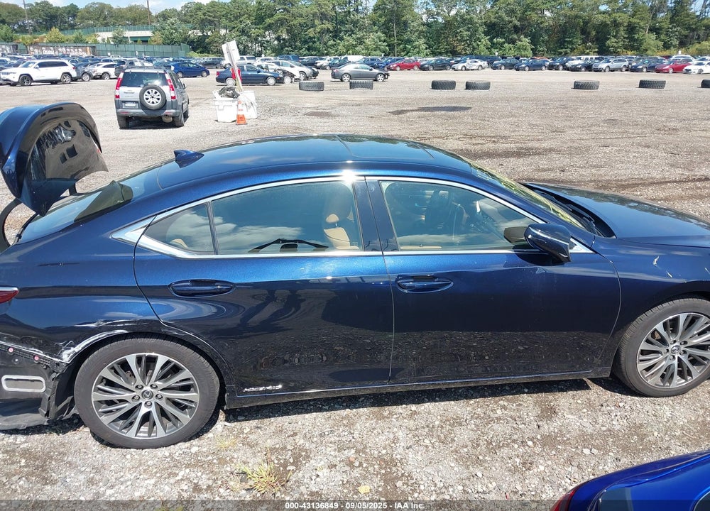 2019 LEXUS ES 300H VIN: JTHB21B16K2041947
