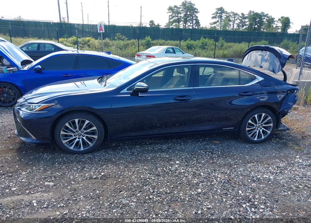 2019 LEXUS ES 300H VIN: JTHB21B16K2041947