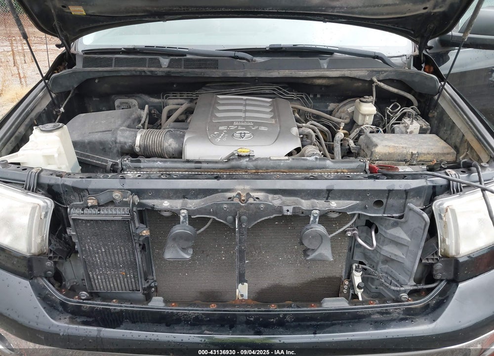 2010 TOYOTA TUNDRA VIN: 5TFDY5F16AX098631