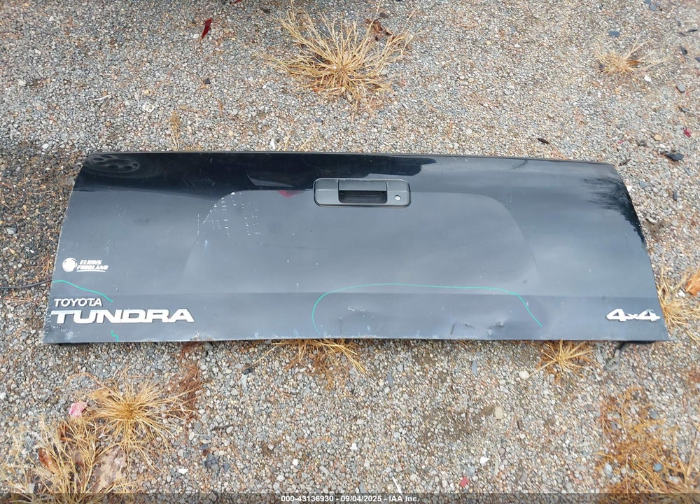 2010 TOYOTA TUNDRA VIN: 5TFDY5F16AX098631