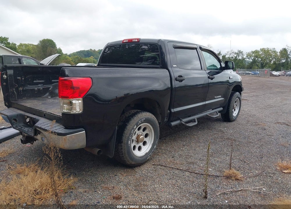 2010 TOYOTA TUNDRA VIN: 5TFDY5F16AX098631