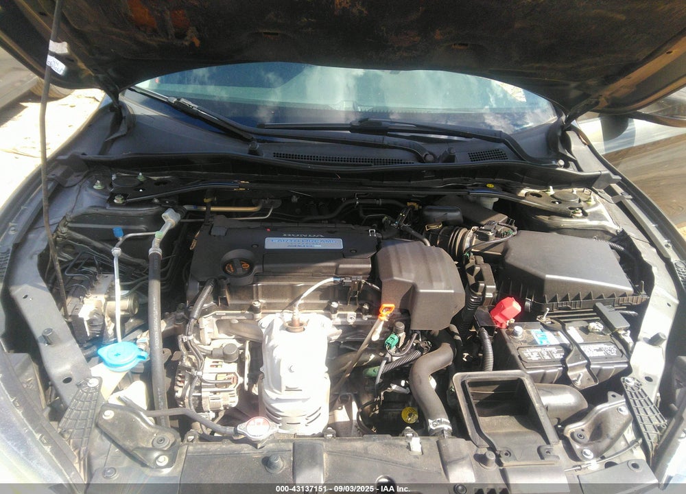 2013 HONDA ACCORD VIN: 1HGCR2F77DA174233