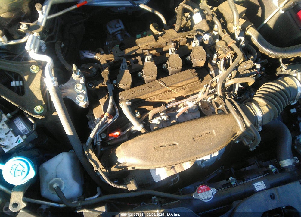 2023 HONDA ACCORD VIN: 1HGCY1F36PA004489
