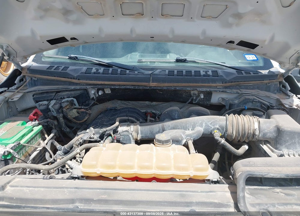 2019 FORD F-150 XL VIN: 1FTEW1EB6KFA07569