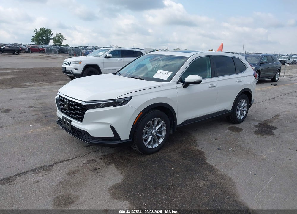 2024 HONDA CR-V VIN: 2HKRS4H74RH401951