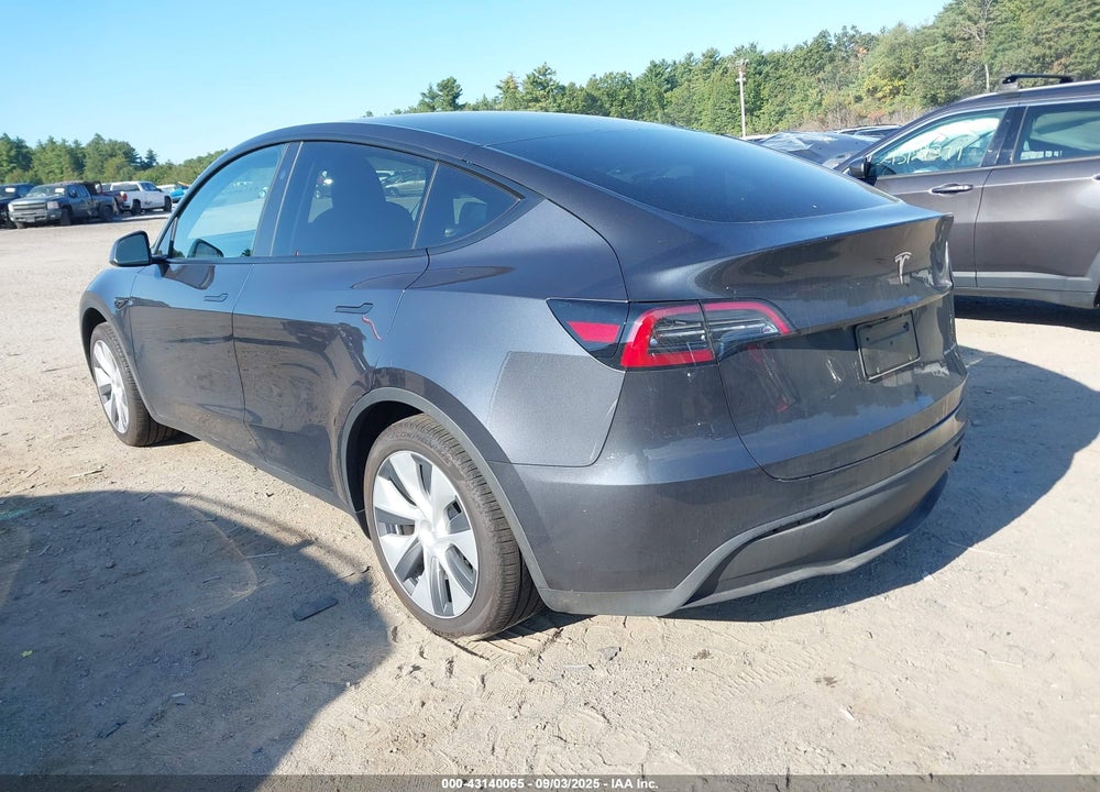2024 TESLA MODEL Y VIN: 7SAYGDEE6RA283917