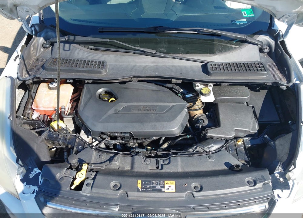 2014 FORD ESCAPE VIN: 1FMCU9GX8EUE05429