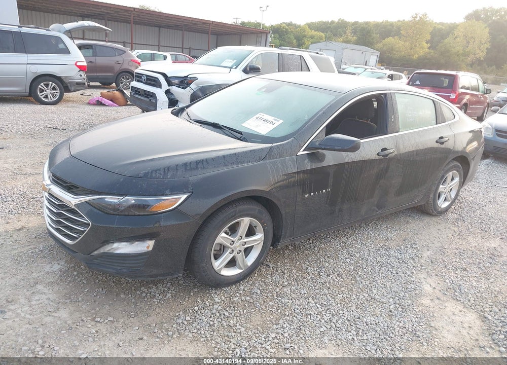 2024 CHEVROLET MALIBU VIN: 1G1ZD5ST7RF133647