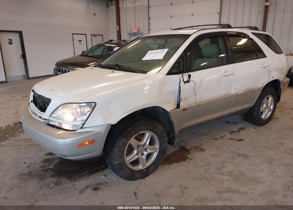 2002 LEXUS RX 300 VIN: JTJGF10U020142743