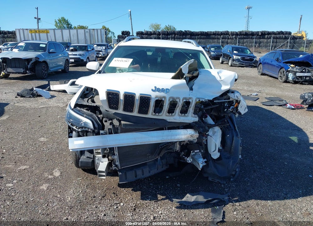 2019 JEEP CHEROKEE LATITUDE 4X4 VIN: 1C4PJMCX5KD233735