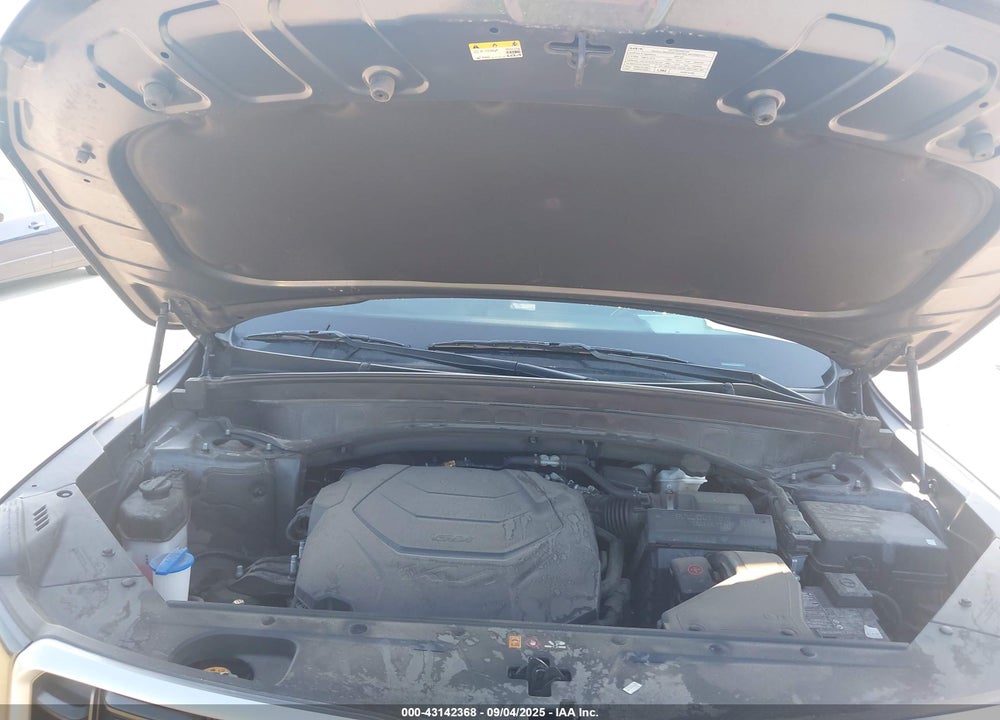 2023 KIA TELLURIDE S VIN: 5XYP6DGC2PG400666