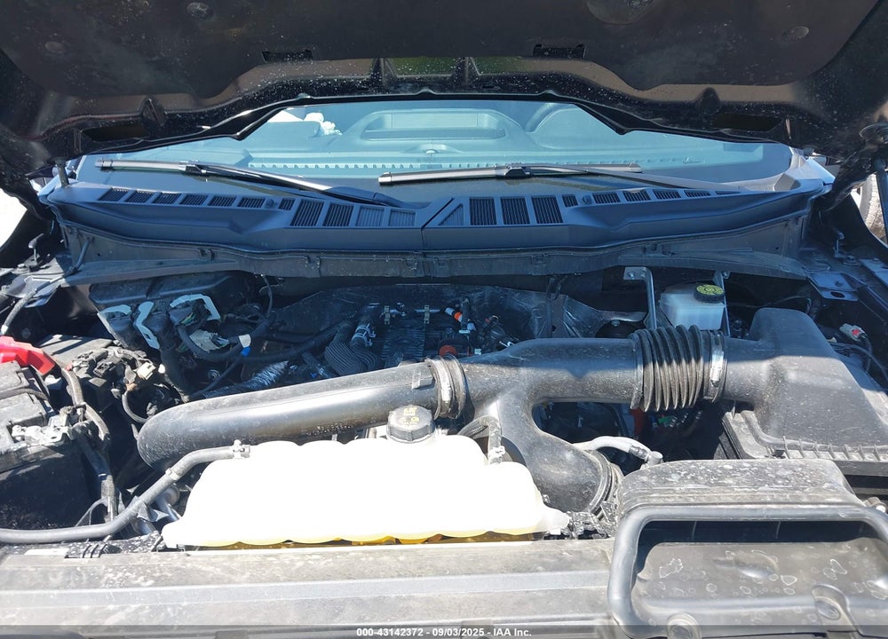 2024 FORD F-150 VIN: 1FTFW5L82RKE73813