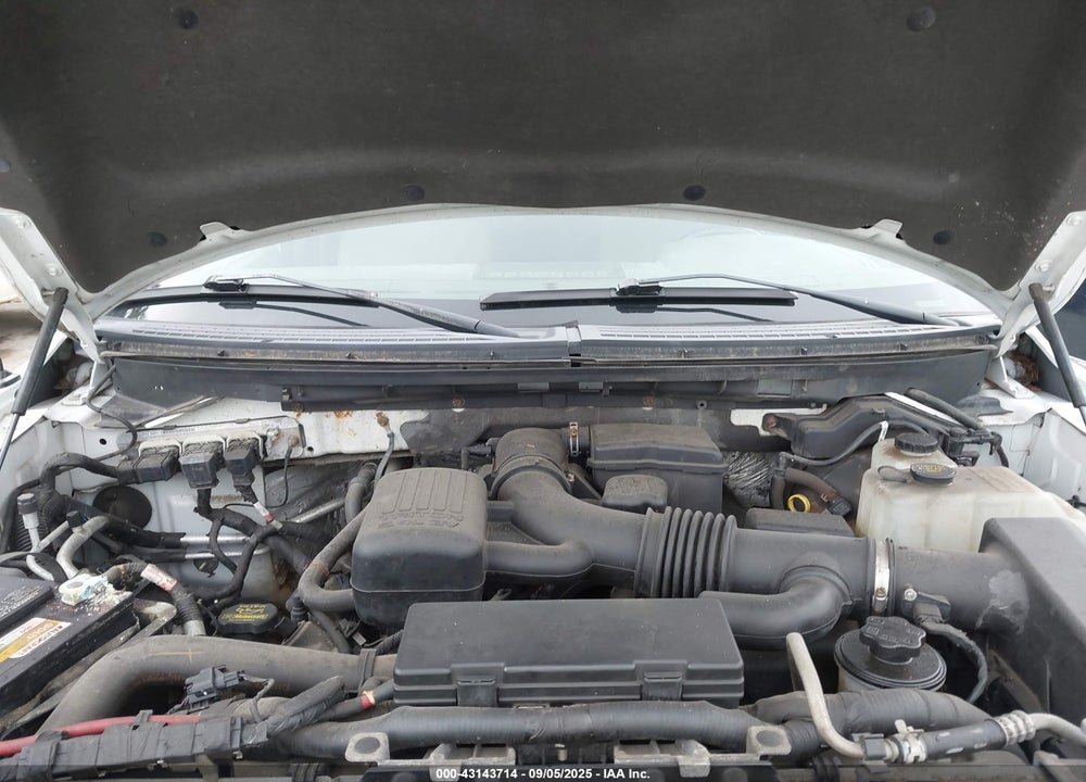 2010 FORD F-150 FX4/LARIAT/XL/XLT VIN: 1FTFX1EV6AFA64655