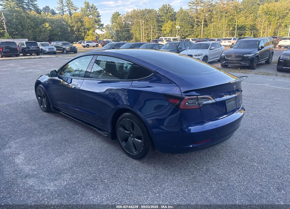 2019 TESLA MODEL 3 VIN: 5YJ3E1EBXKF433019