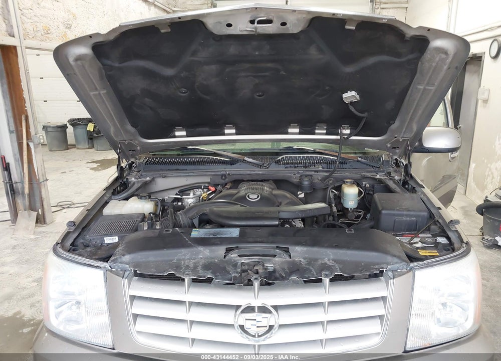 2002 CADILLAC ESCALADE STANDARD VIN: 1GYEK63N02R286600