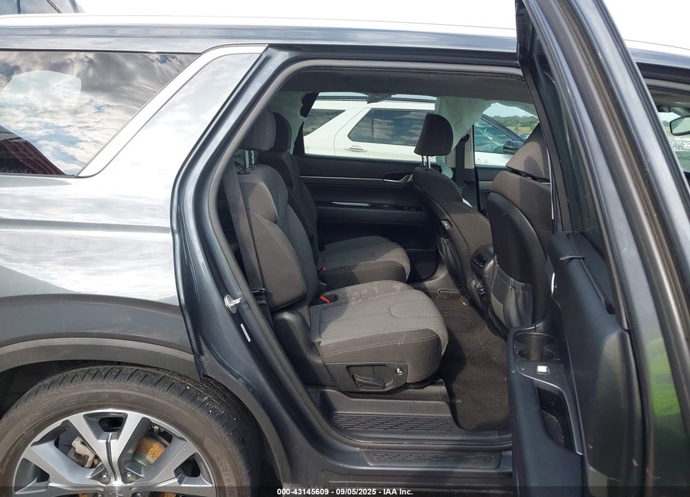 2020 HYUNDAI PALISADE VIN: KM8R3DHE7LU109747