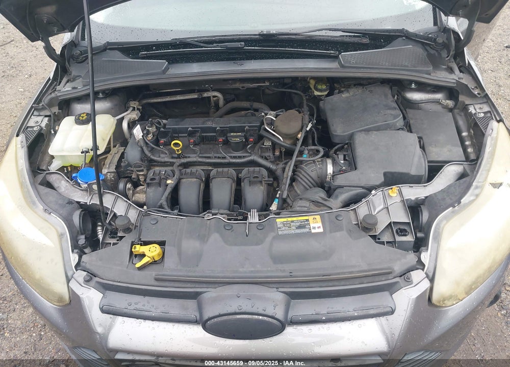 2013 FORD FOCUS SE VIN: 1FADP3K20DL354348