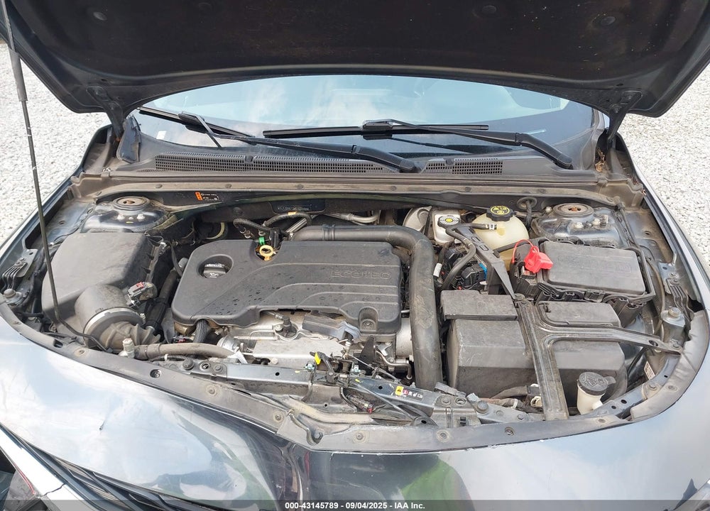 2019 CHEVROLET MALIBU VIN: 1G1ZD5ST3KF123445