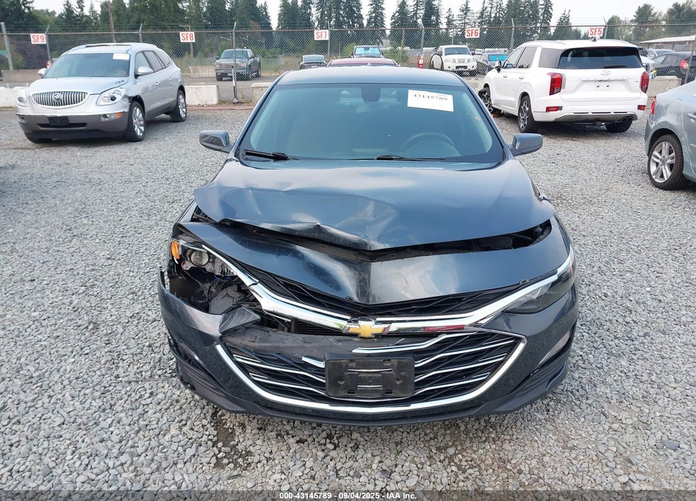 2019 CHEVROLET MALIBU VIN: 1G1ZD5ST3KF123445