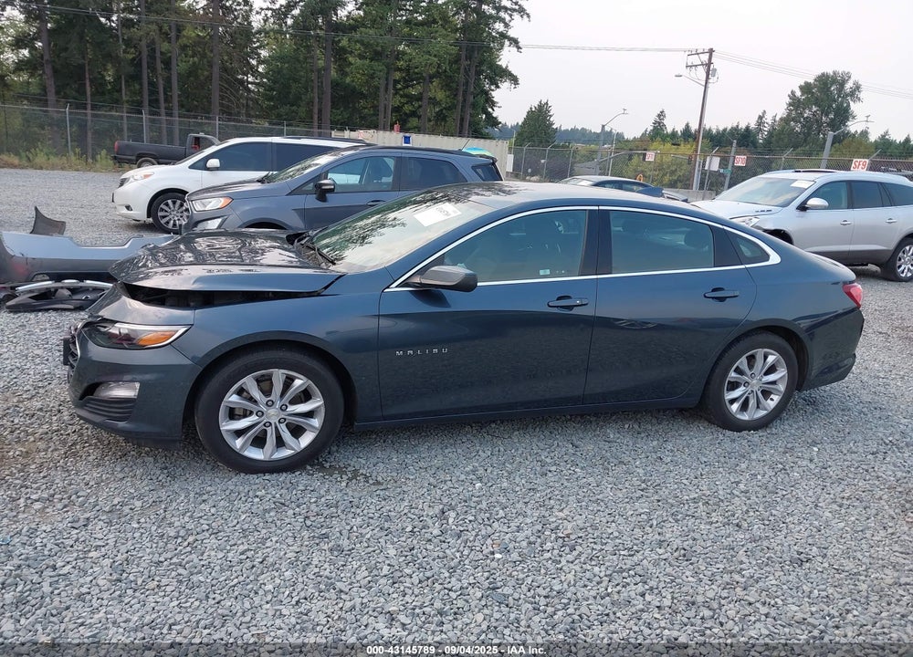 2019 CHEVROLET MALIBU VIN: 1G1ZD5ST3KF123445