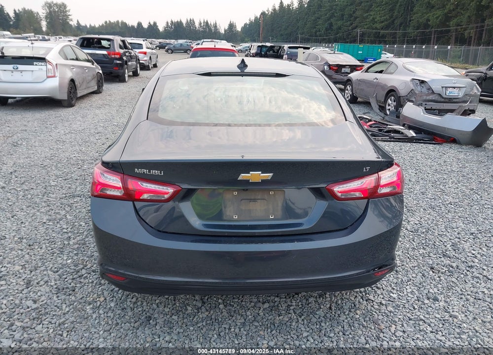 2019 CHEVROLET MALIBU VIN: 1G1ZD5ST3KF123445