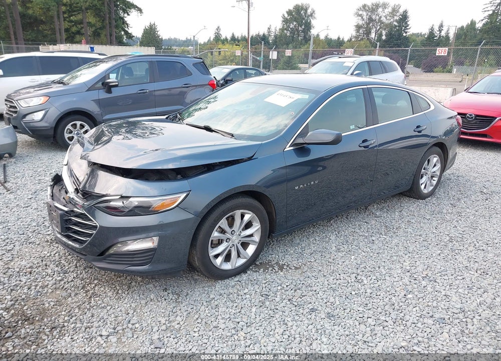 2019 CHEVROLET MALIBU VIN: 1G1ZD5ST3KF123445