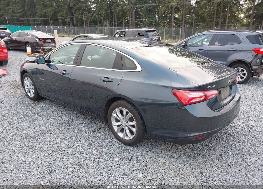 2019 CHEVROLET MALIBU VIN: 1G1ZD5ST3KF123445