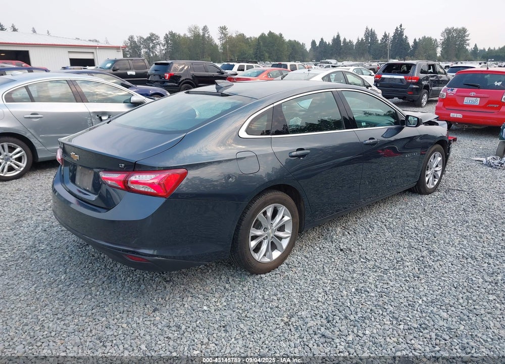 2019 CHEVROLET MALIBU VIN: 1G1ZD5ST3KF123445