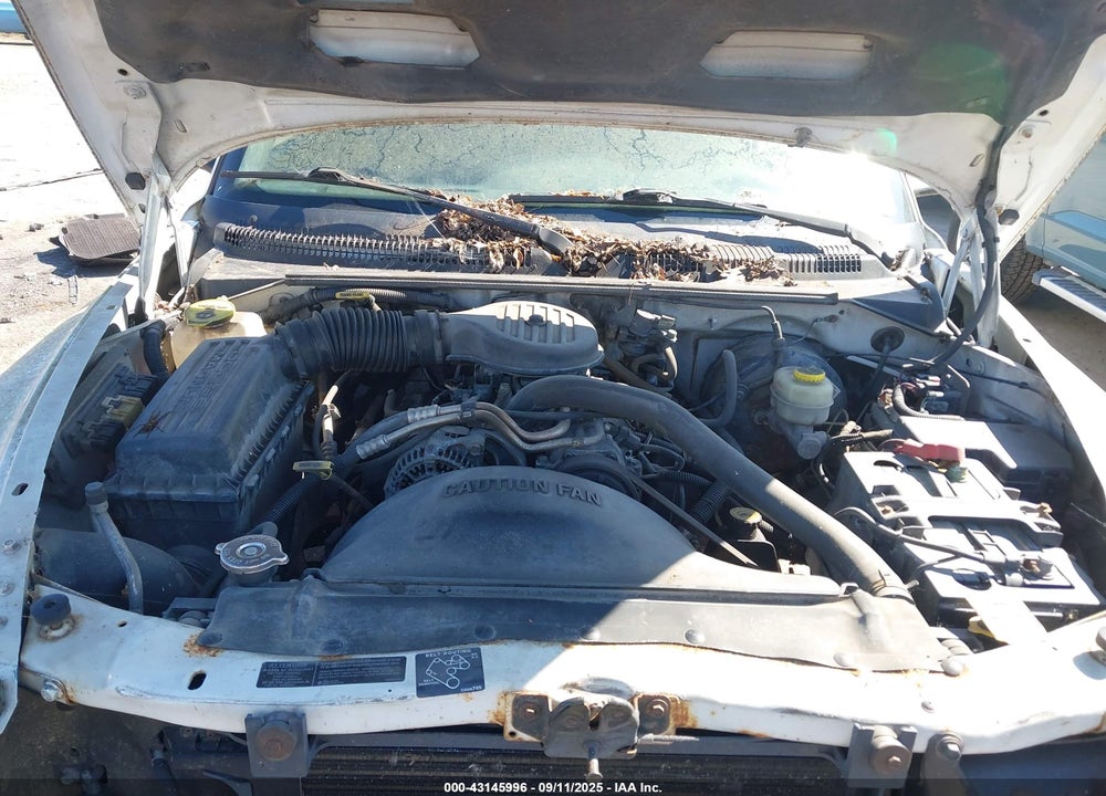 1999 DODGE DAKOTA SLT/SPORT VIN: 1B7GL22XXXS151695