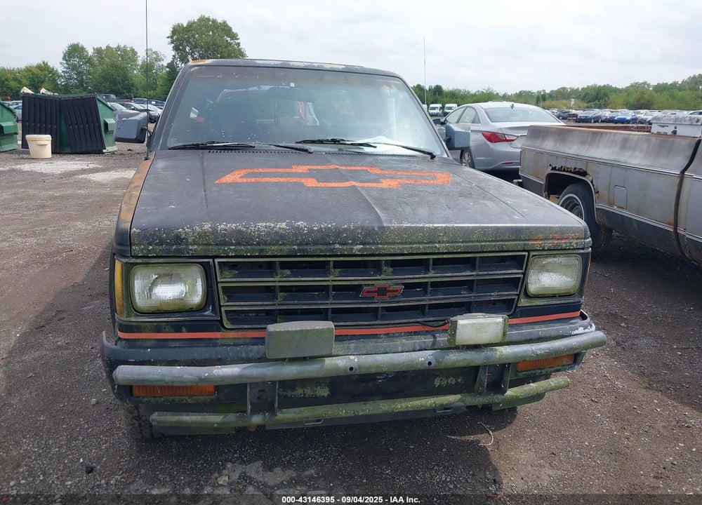 1989 CHEVROLET S TRUCK S10 VIN: 1GCDT19Z3K8175010