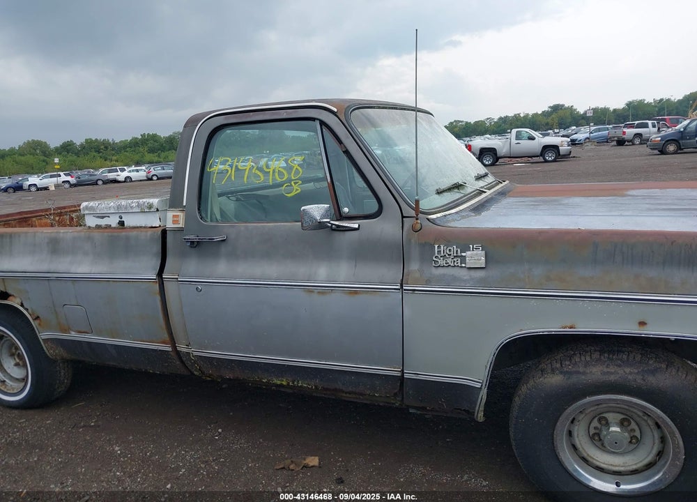 1979 CHEVY PICK UP VIN: TCZ149S535646