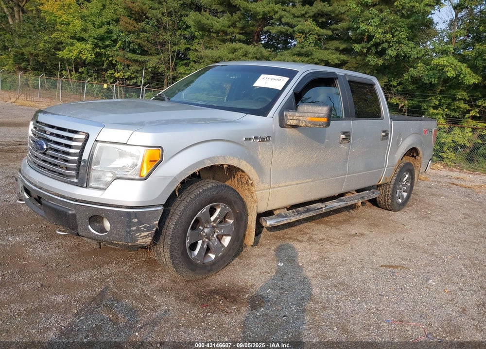 2012 FORD F-150 XLT VIN: 1FTFW1EF6CKE10645