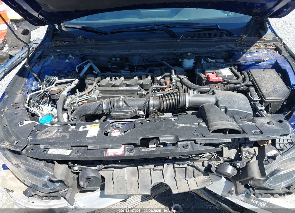 2020 HONDA ACCORD VIN: 1HGCV1F32LA024564