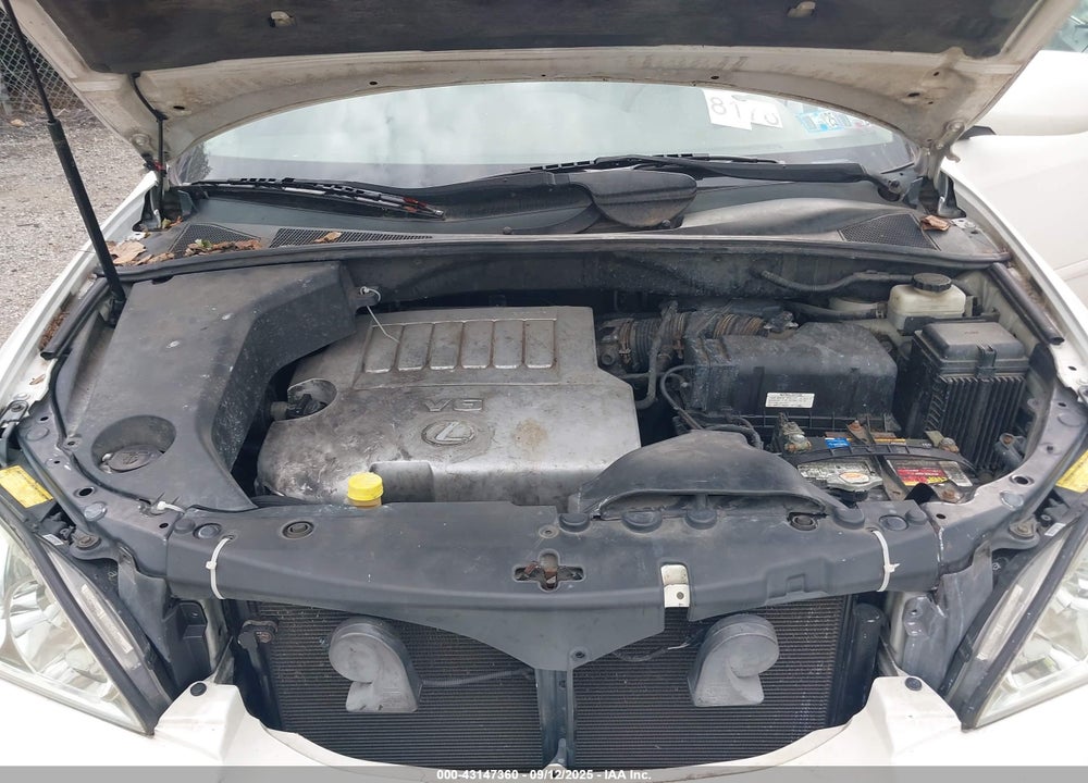 2007 LEXUS RX 350 VIN: 2T2HK31U87C006169