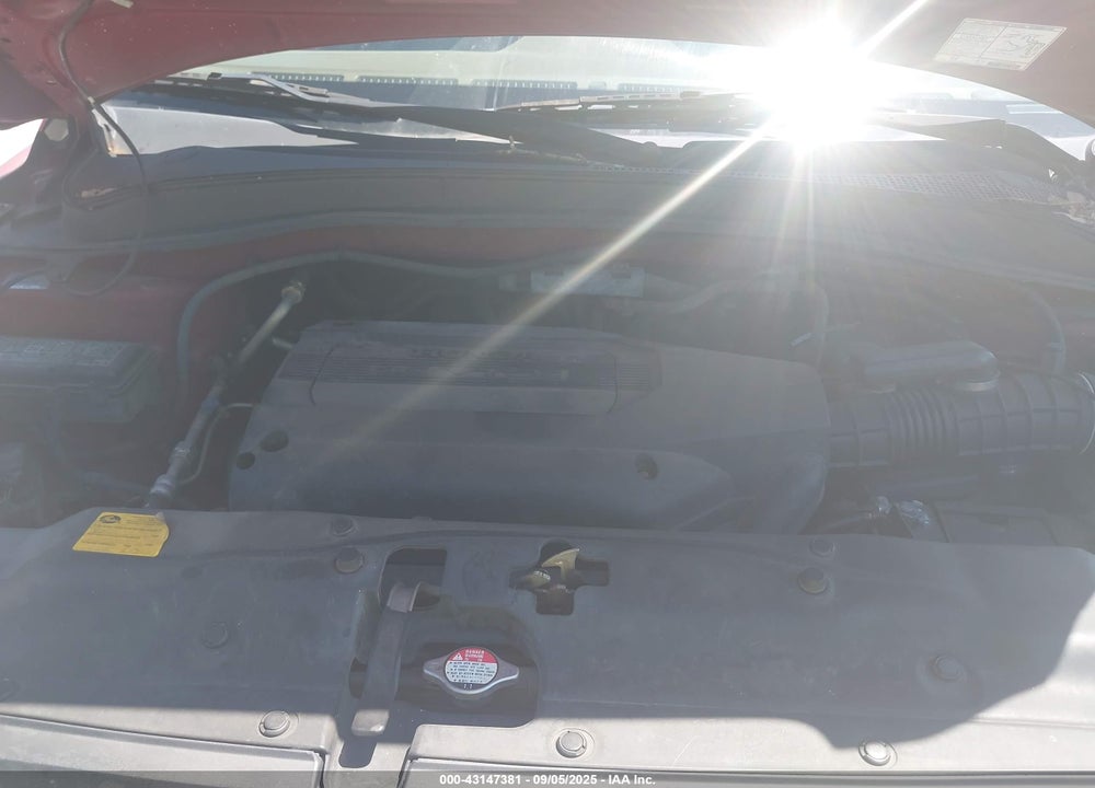 2004 HONDA PILOT EX-L VIN: 5FNYF185X4B005785