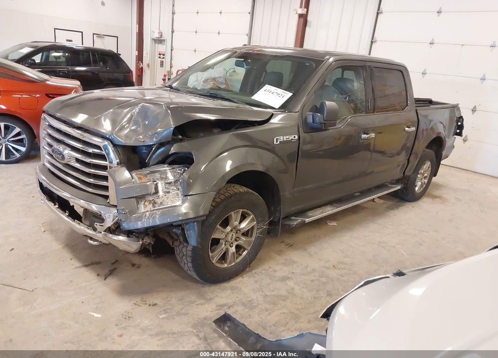 2015 FORD F-150 XLT VIN: 1FTEW1EF8FFB36440