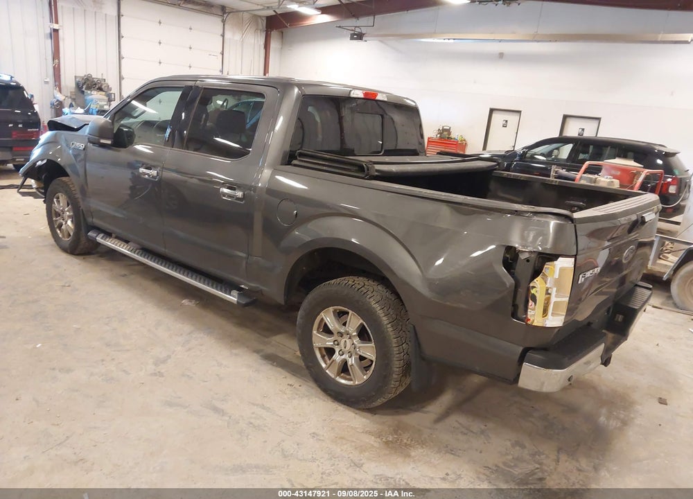 2015 FORD F-150 XLT VIN: 1FTEW1EF8FFB36440