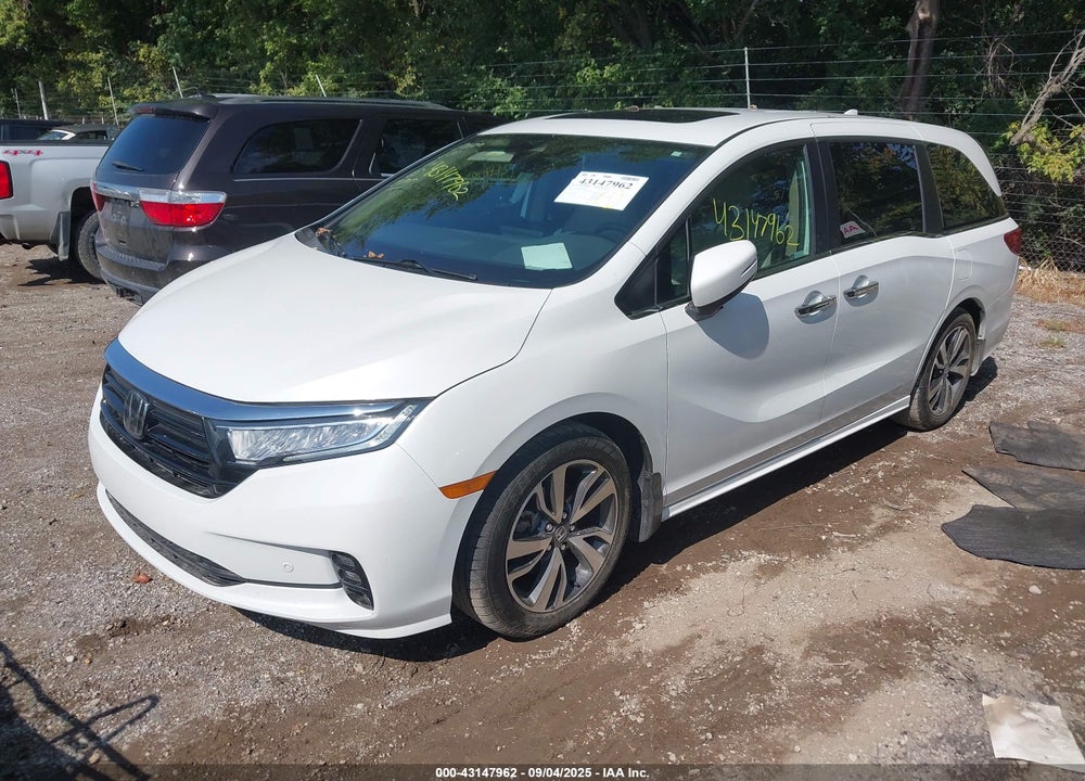 2021 HONDA ODYSSEY VIN: 5FNRL6H80MB001992