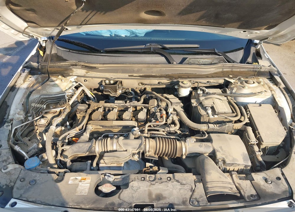 2019 HONDA ACCORD VIN: 1HGCV1F19KA081292