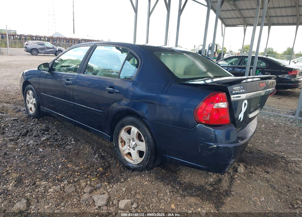 2004 CHEVROLET MALIBU LT VIN: 1G1ZU54884F102859