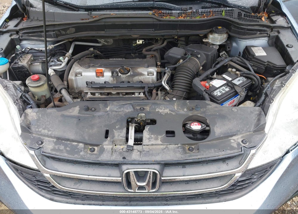 2010 HONDA CR-V VIN: 5J6RE4H30AL092218