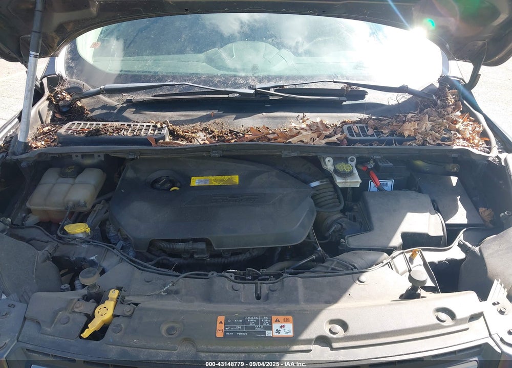 2015 FORD ESCAPE SE VIN: 1FMCU0GXXFUB97552