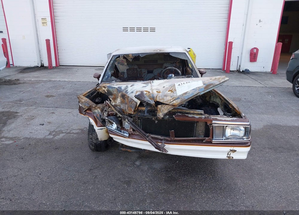 1981 CHEVROLET EL CAMINO VIN: 1GCCW80H1BR473940