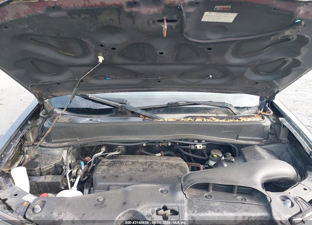 2009 HONDA PILOT VIN: 5FNYF48589B032203