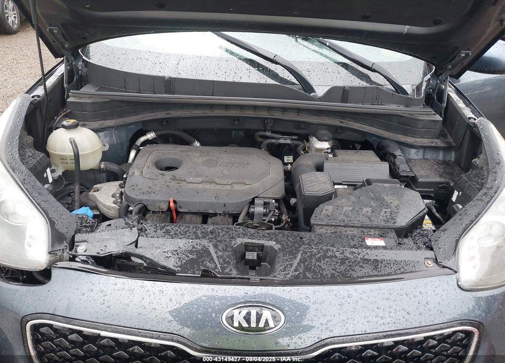 2017 KIA SPORTAGE LX VIN: KNDPMCAC3H7034627