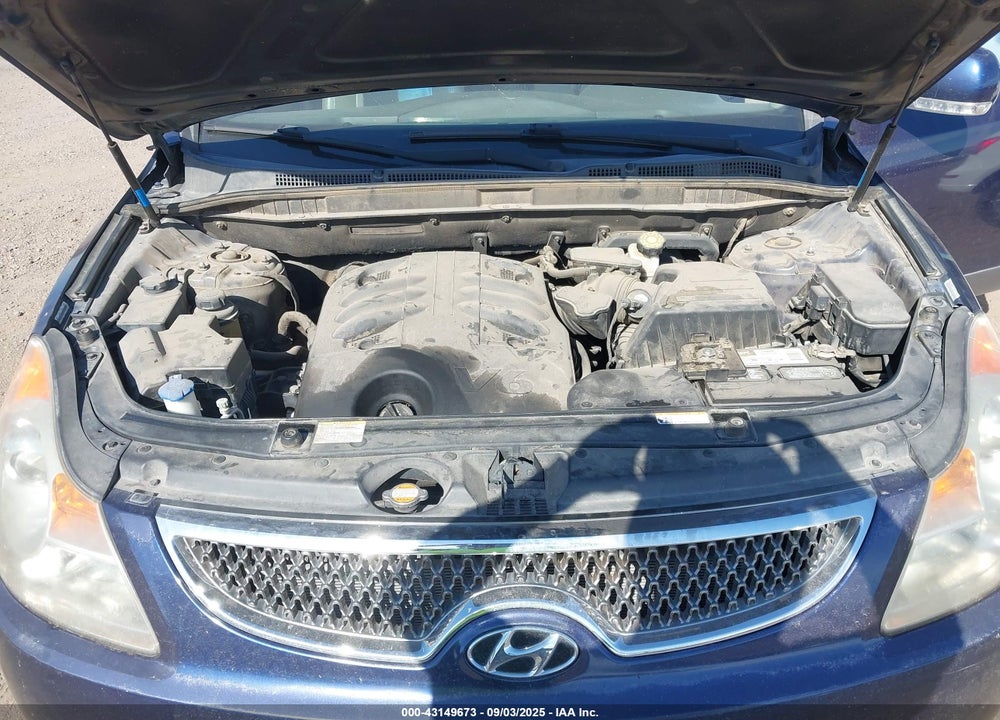 2009 HYUNDAI VERACRUZ VIN: KM8NU13C09U081802