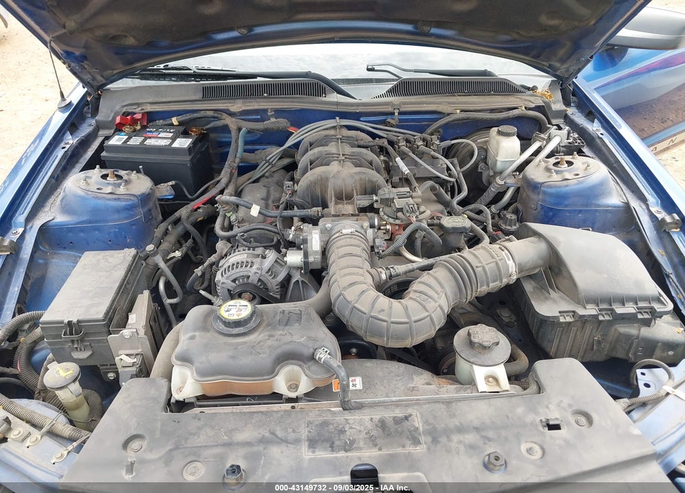 2009 FORD MUSTANG VIN: 1ZVHT84N195102225