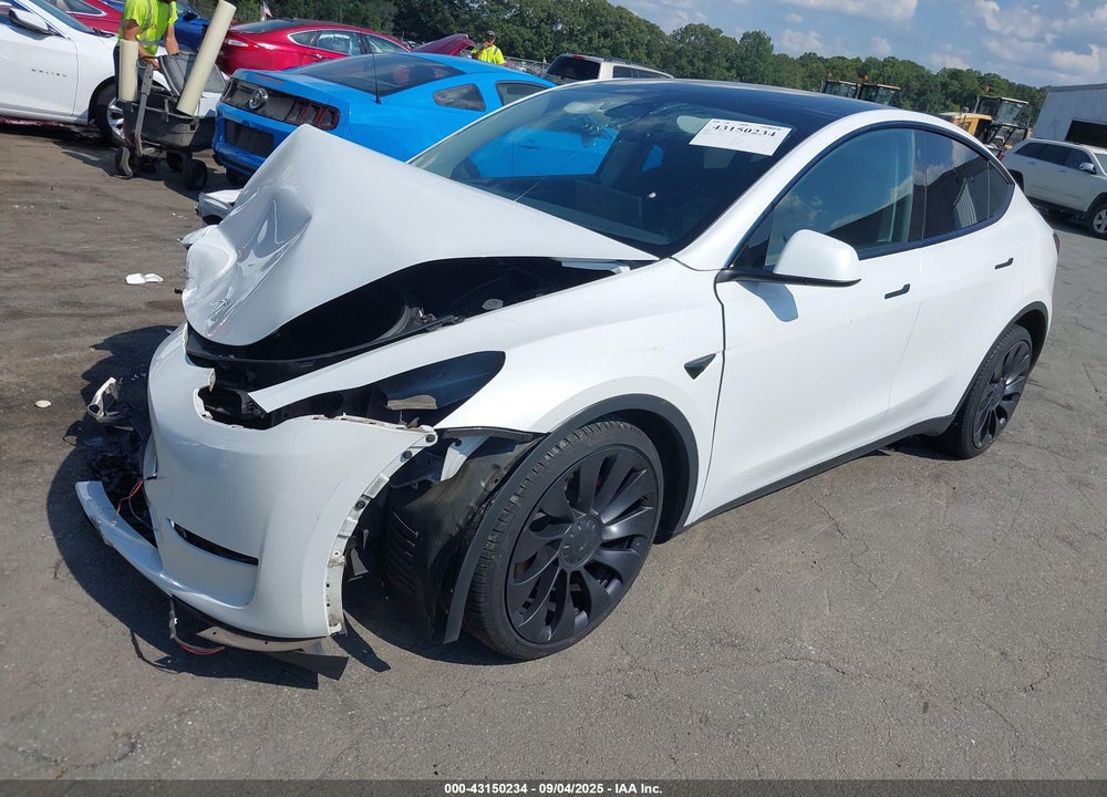 2023 TESLA MODEL Y VIN: 7SAYGDEFXPF761846